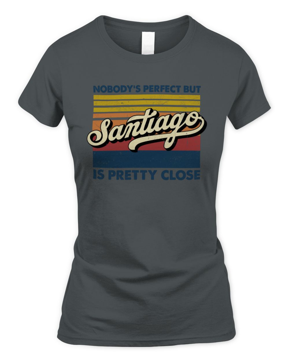 Nobody's Perfect But Your Name Is Pretty Close Retro Shirt SANTIAGO M1-65 / Women's Standard T-Shirt / charcoal