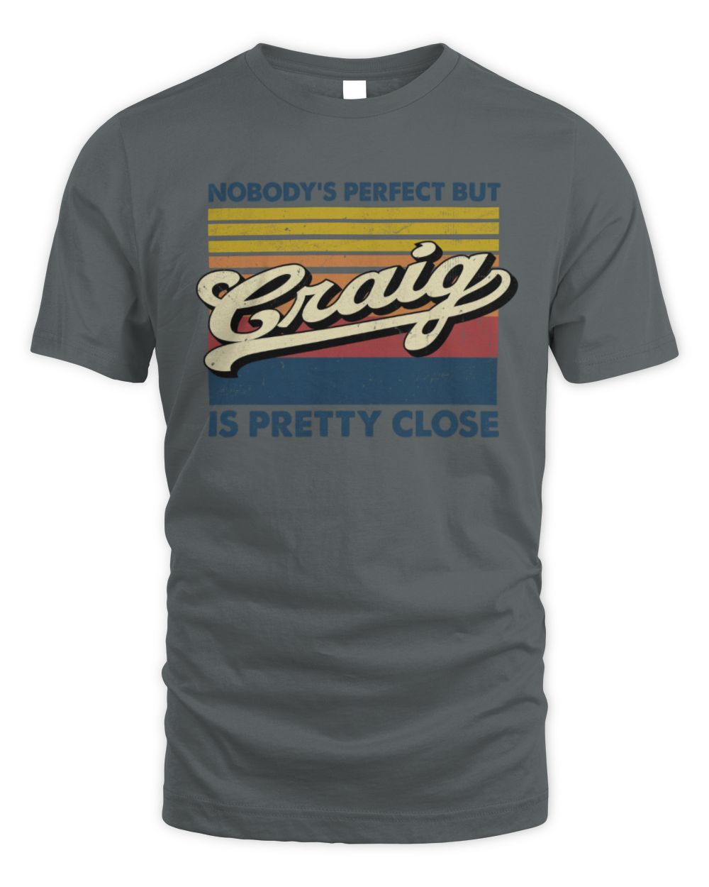 Nobody's Perfect But Your Name Is Pretty Close Retro Shirt CRAIG M1-65 / Unisex Standard T-Shirt / charcoal