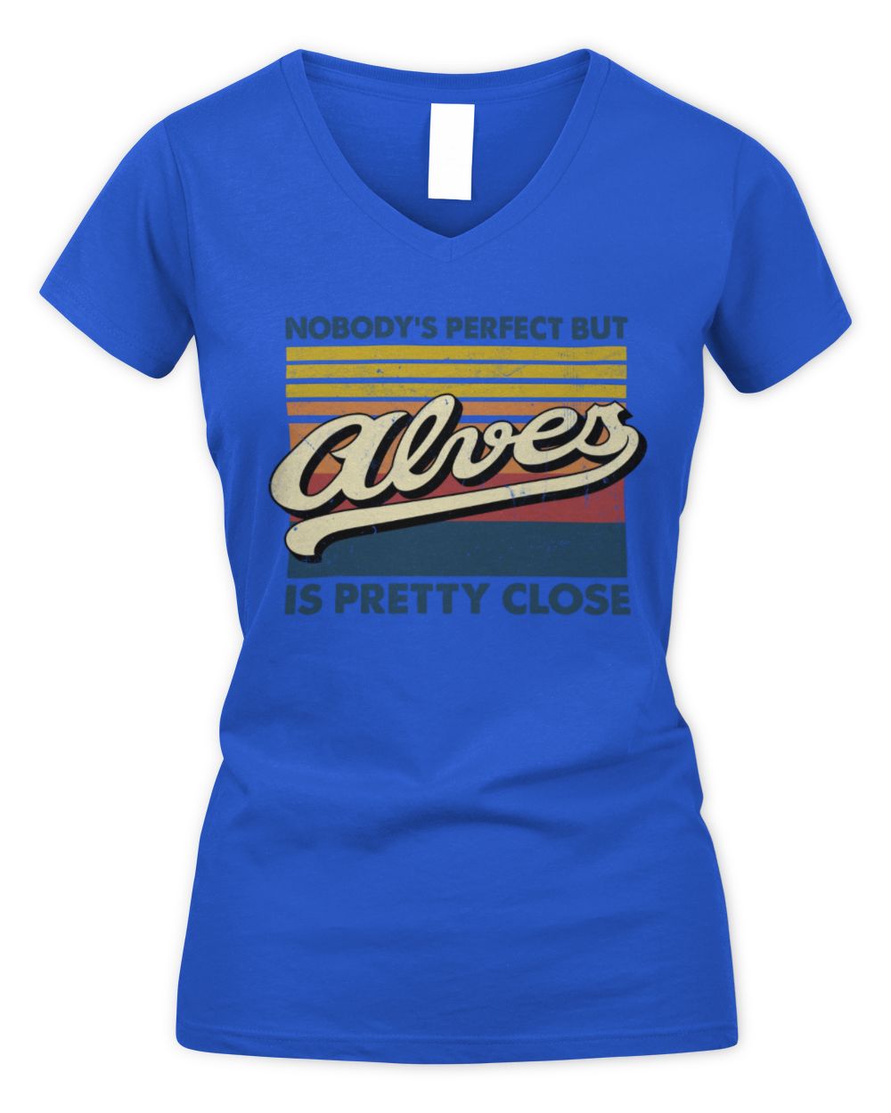 Nobody's Perfect But Your Name Is Pretty Close Retro Shirt ALVES M1-65 / Women's V-Neck T-Shirt / royal