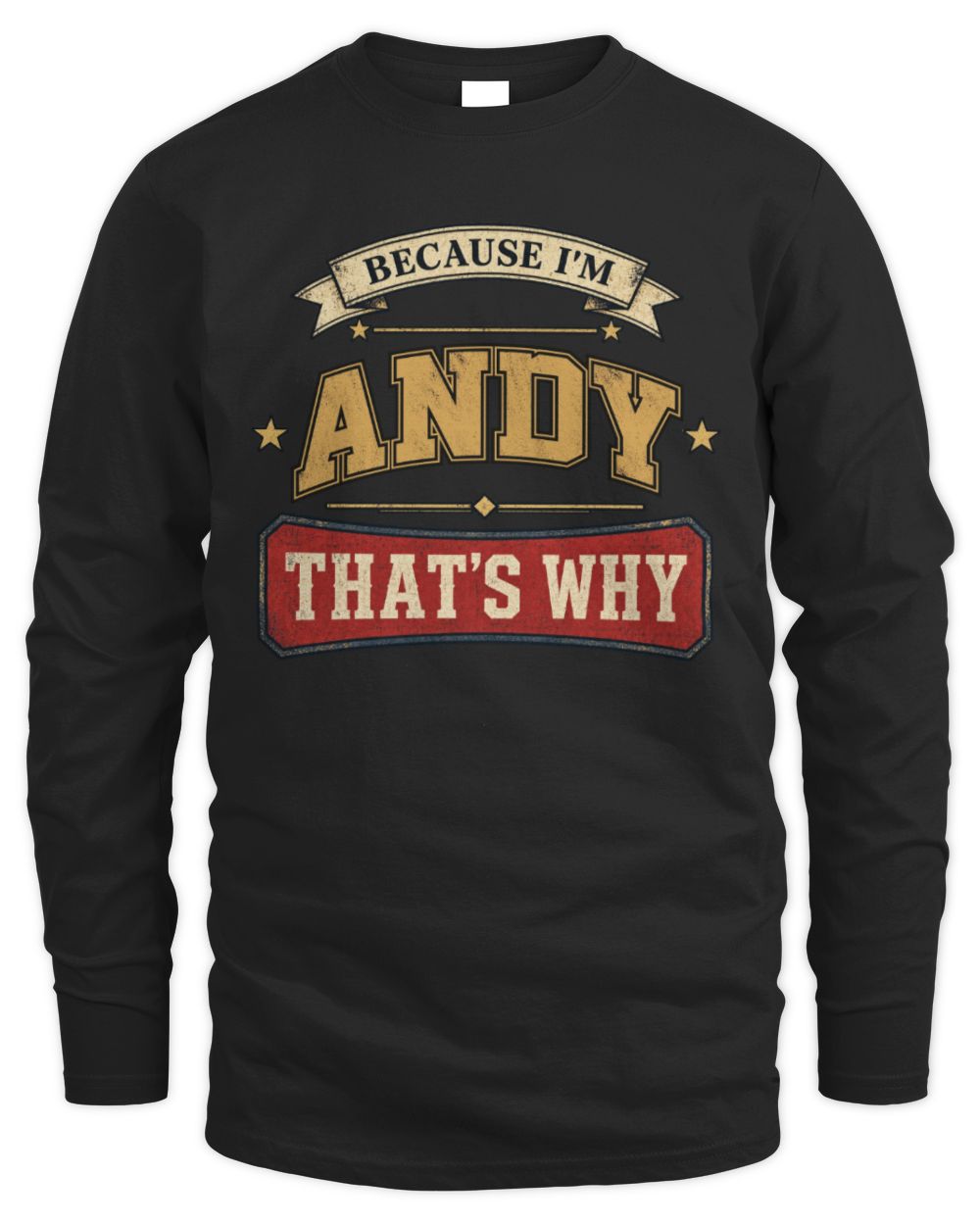 Because I'm Name That's Why Americana T-Shirt ANDY M1-S88 / Men's Long Sleeved T-Shirt / black