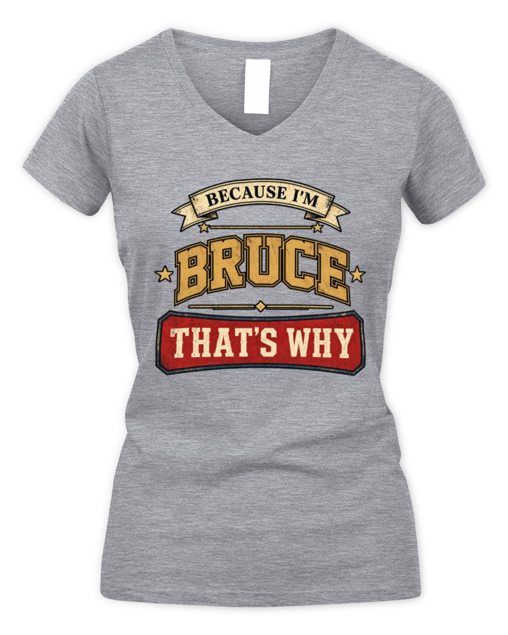 Because I'm Name That's Why Americana T-Shirt BRUCE M1-S88 / Women's V-Neck T-Shirt / sport grey