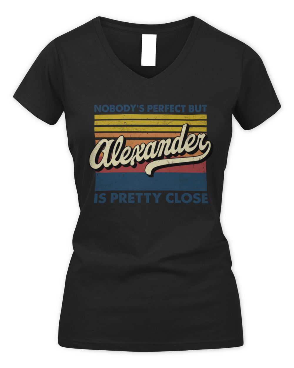 Nobody's Perfect But Your Name Is Pretty Close Retro Shirt ALEXANDER M1-65 / Women's V-Neck T-Shirt / black