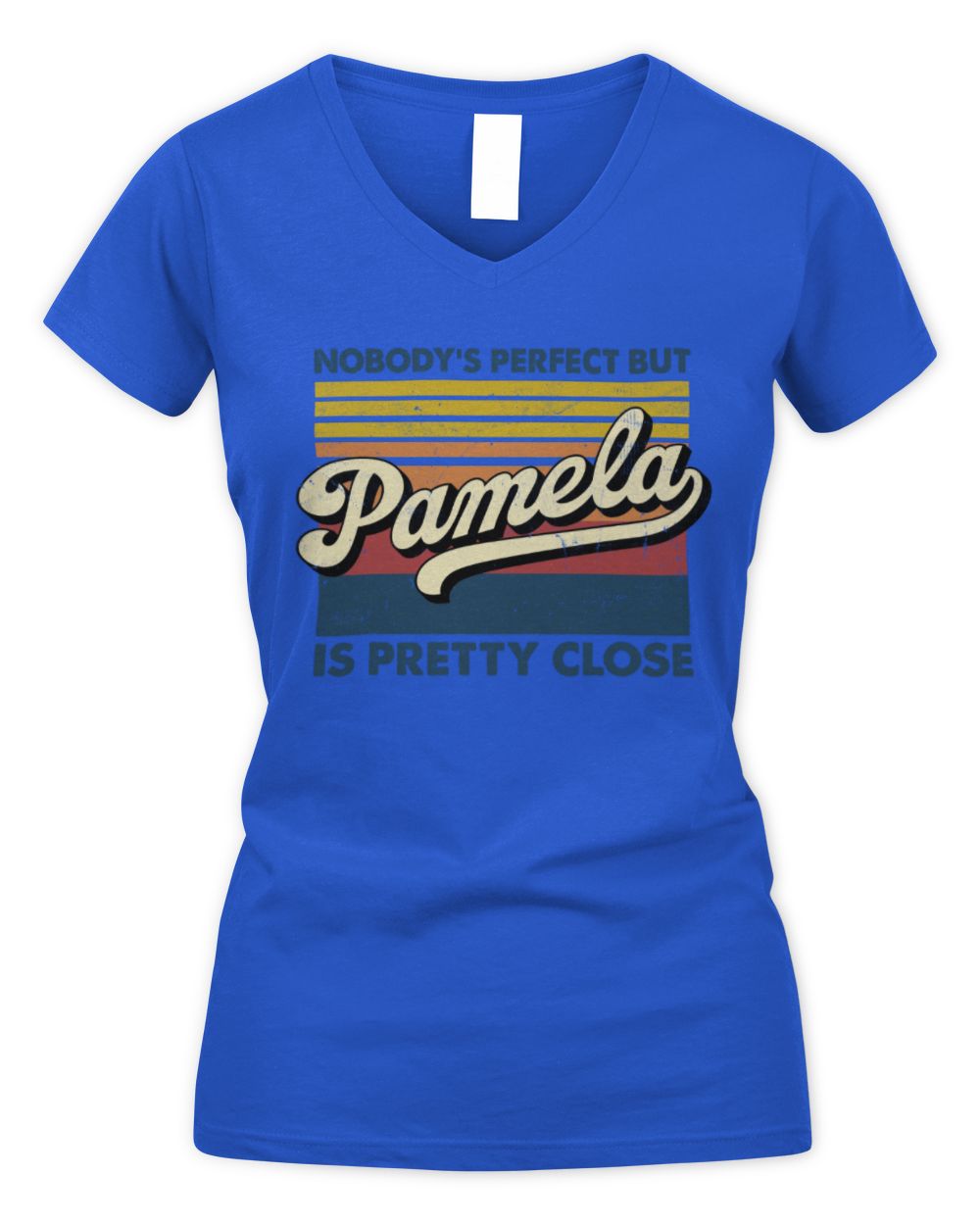Nobody's Perfect But Your Name Is Pretty Close Retro Shirt PAMELA M1-65 / Women's V-Neck T-Shirt / royal
