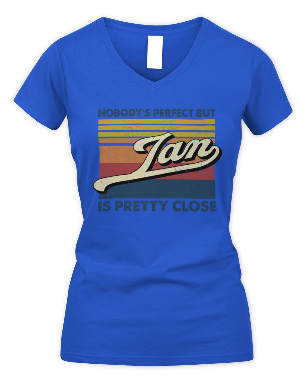 Nobody's Perfect But Your Name Is Pretty Close Retro Shirt IAN M1-65 / Women's V-Neck T-Shirt / royal
