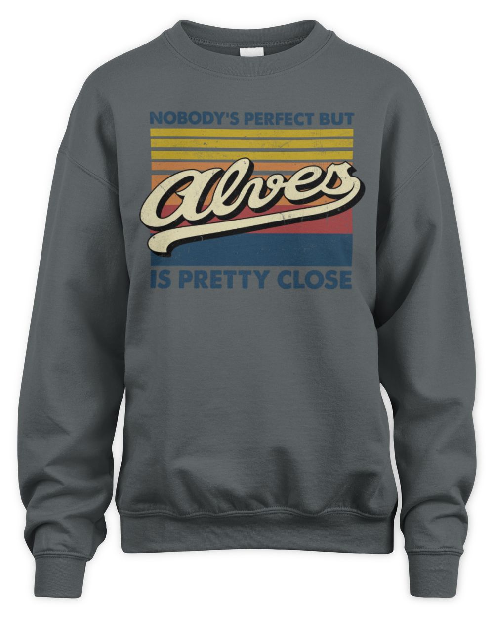 Nobody's Perfect But Your Name Is Pretty Close Retro Shirt ALVES M1-65 / Unisex Sweatshirt / charcoal