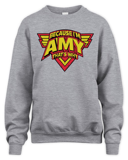 Because I'm Name That's Why Red and Yellow Logo Graphic T-Shirt AMY M1-75 / Unisex Sweatshirt / sport grey