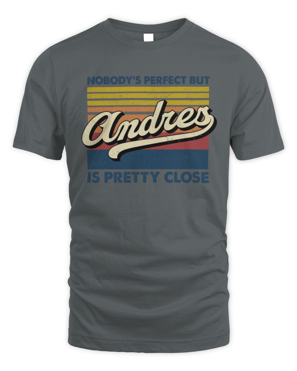 Nobody's Perfect But Your Name Is Pretty Close Retro Shirt ANDRES M1-65 / Unisex Standard T-Shirt / charcoal