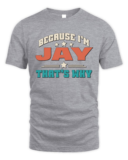 Because I'm Name That's Why Personalized Retro Shirt JAY-49 / Unisex Standard T-Shirt / sport grey