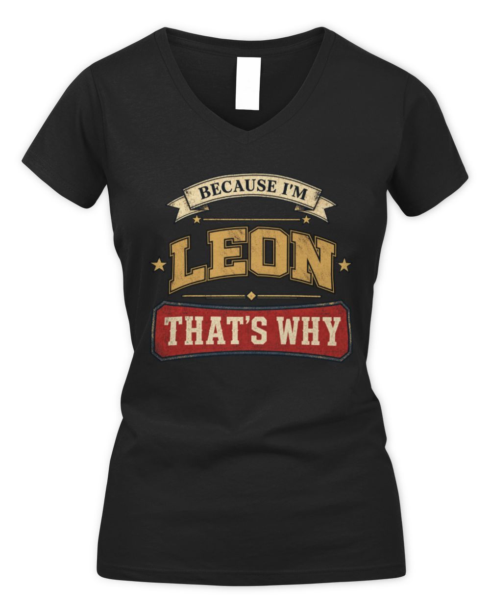 Because I'm Name That's Why Americana T-Shirt LEON M1-S88 / Women's V-Neck T-Shirt / black