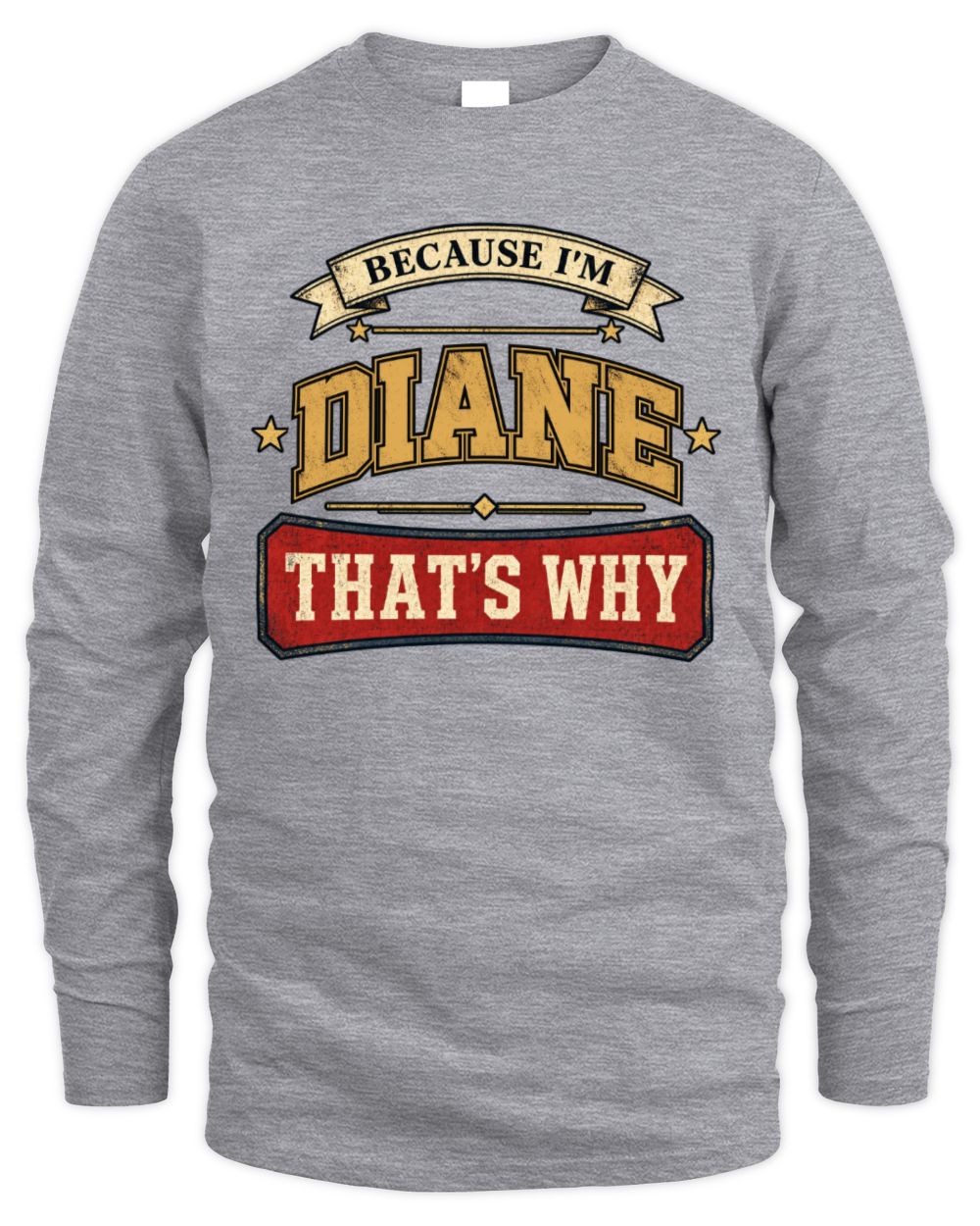 Because I'm Name That's Why Americana T-Shirt DIANE M1-S88 / Men's Long Sleeved T-Shirt / sport grey