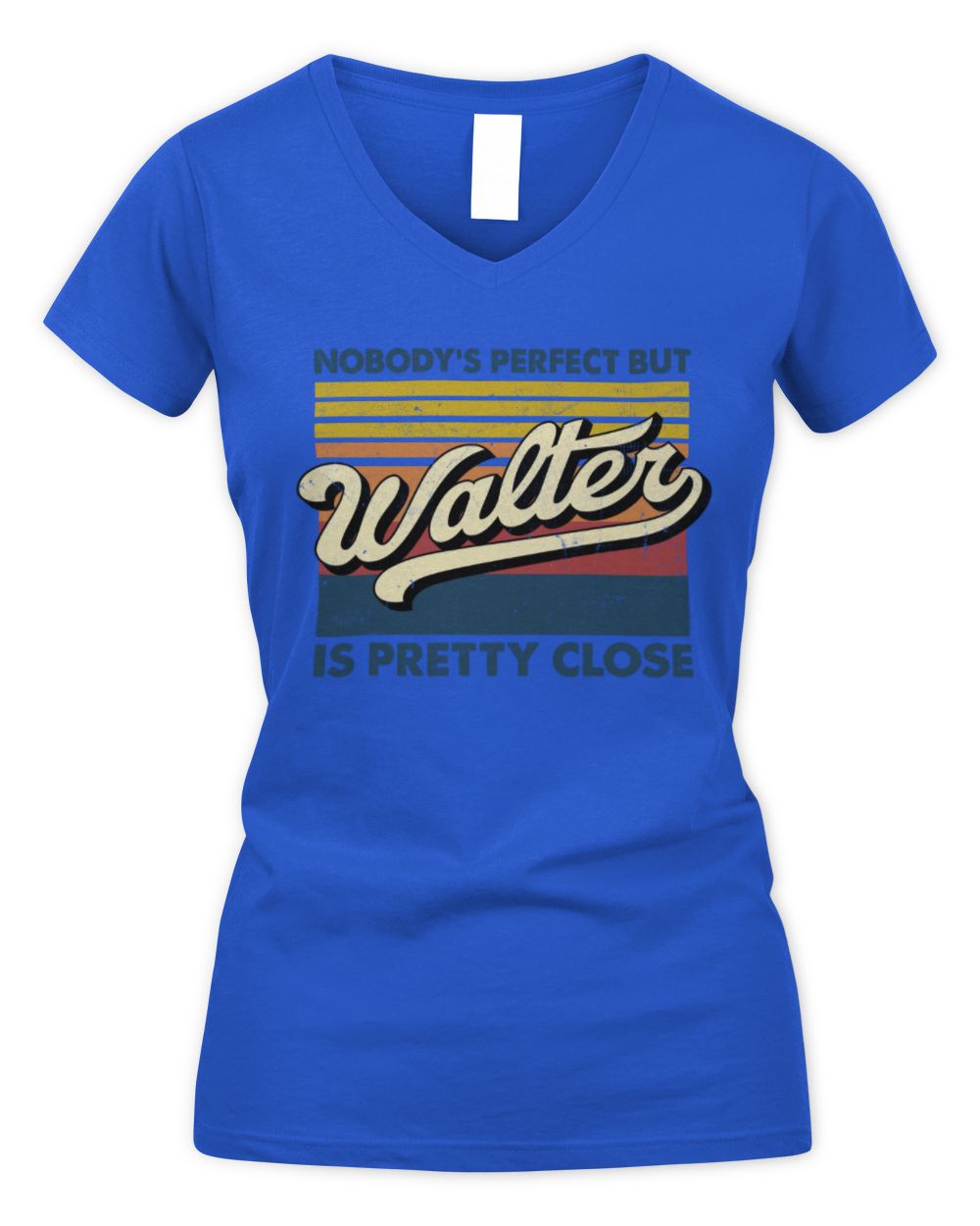 Nobody's Perfect But Your Name Is Pretty Close Retro Shirt WALTER M1-65 / Women's V-Neck T-Shirt / royal