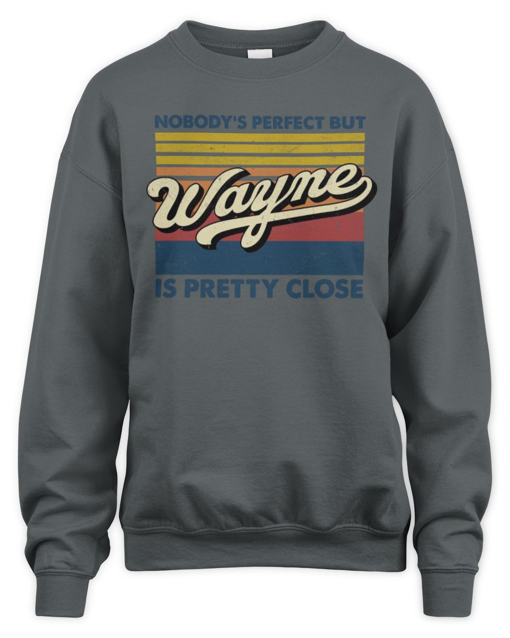 Nobody's Perfect But Your Name Is Pretty Close Retro Shirt WAYNE M1-65 / Unisex Sweatshirt / charcoal