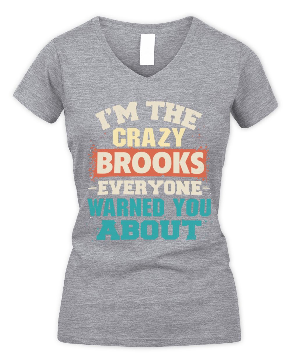 I'm the Crazy One Everyone Warned You About Retro Graphic T-Shirt BROOKS M1-70 / Women's V-Neck T-Shirt / sport grey