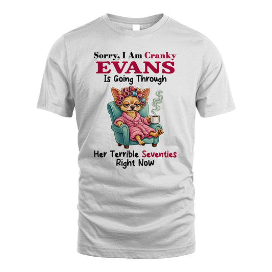 EVANS 13K1-533 Sorry, I am Canky ... Is Going Through ...