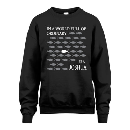 JOSHUA 13K1-558 In A World Full Of Ordinary