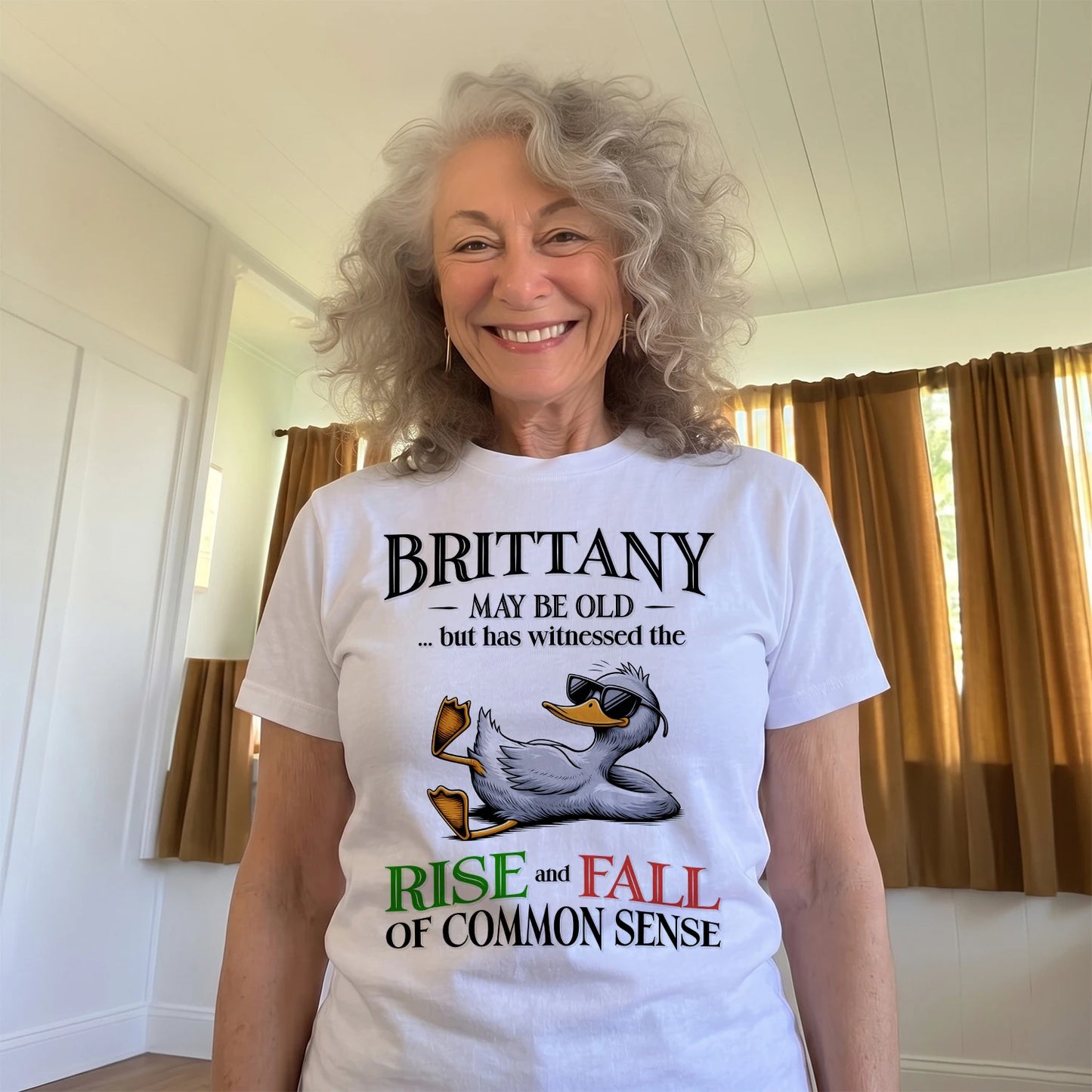 BRITTANY 13K1-534 May Be Old But Has Witnessed The Rise and Fall of Common Sense