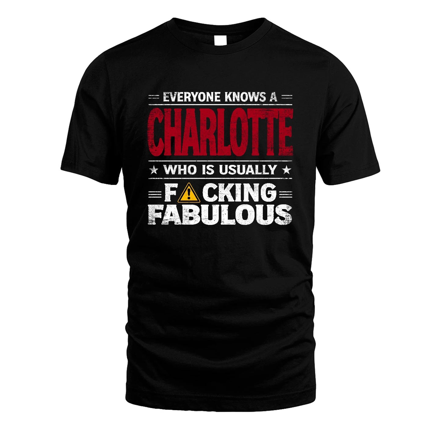 CHARLOTTE 13K1-565 Everyone Know A/An Name Who Is Usually...