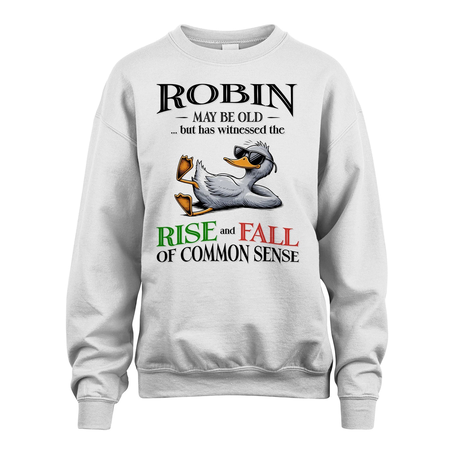 ROBIN 13K1-534 May Be Old But Has Witnessed The Rise and Fall of Common Sense