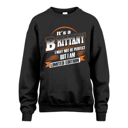 BRITTANY 13K1-514 Personalized "It's a ... I May Not Be Perfect..."