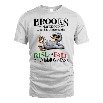 BROOKS 13K1-534 May Be Old But Has Witnessed The Rise and Fall of Common Sense