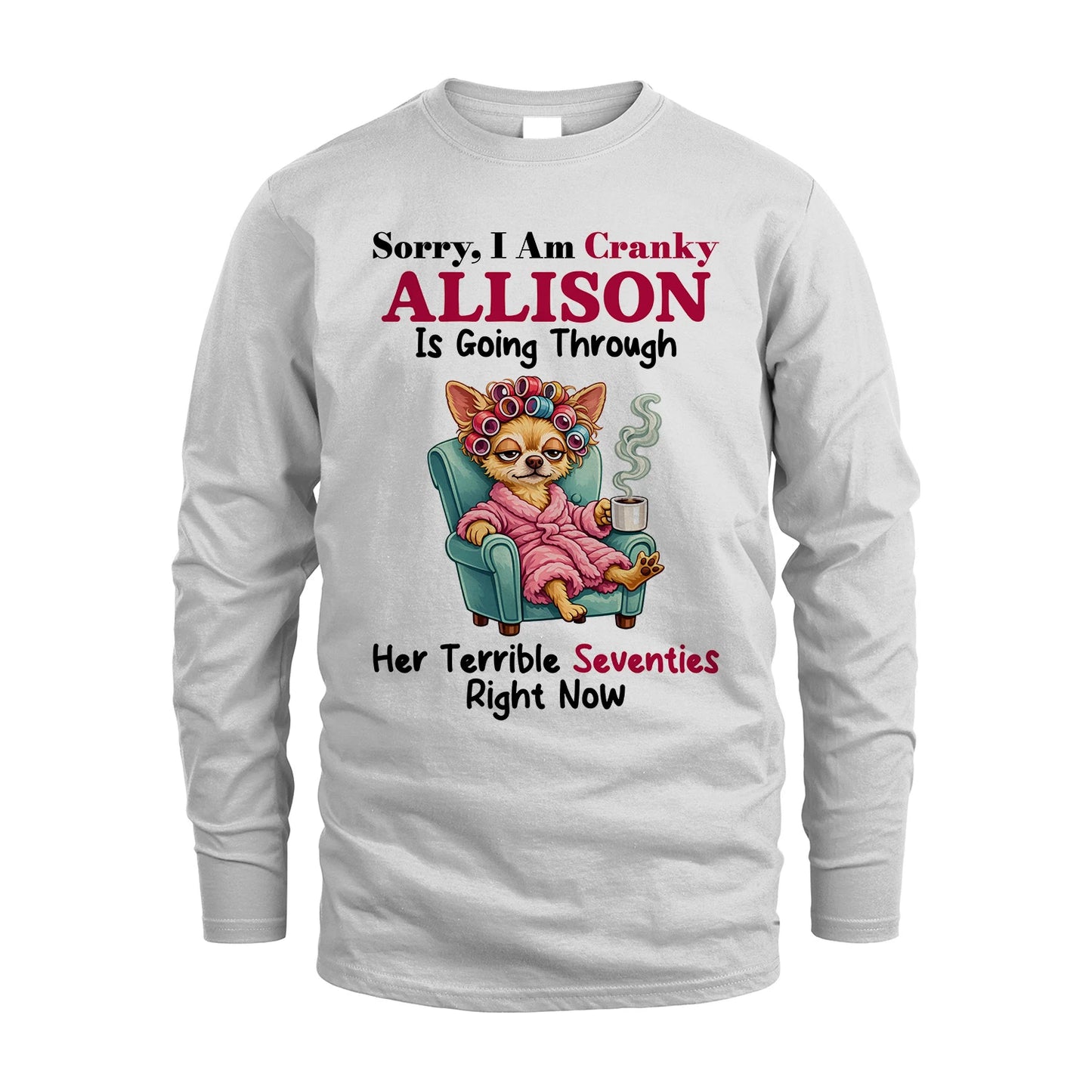ALLISON 13K1-533 Sorry, I am Canky ... Is Going Through ...