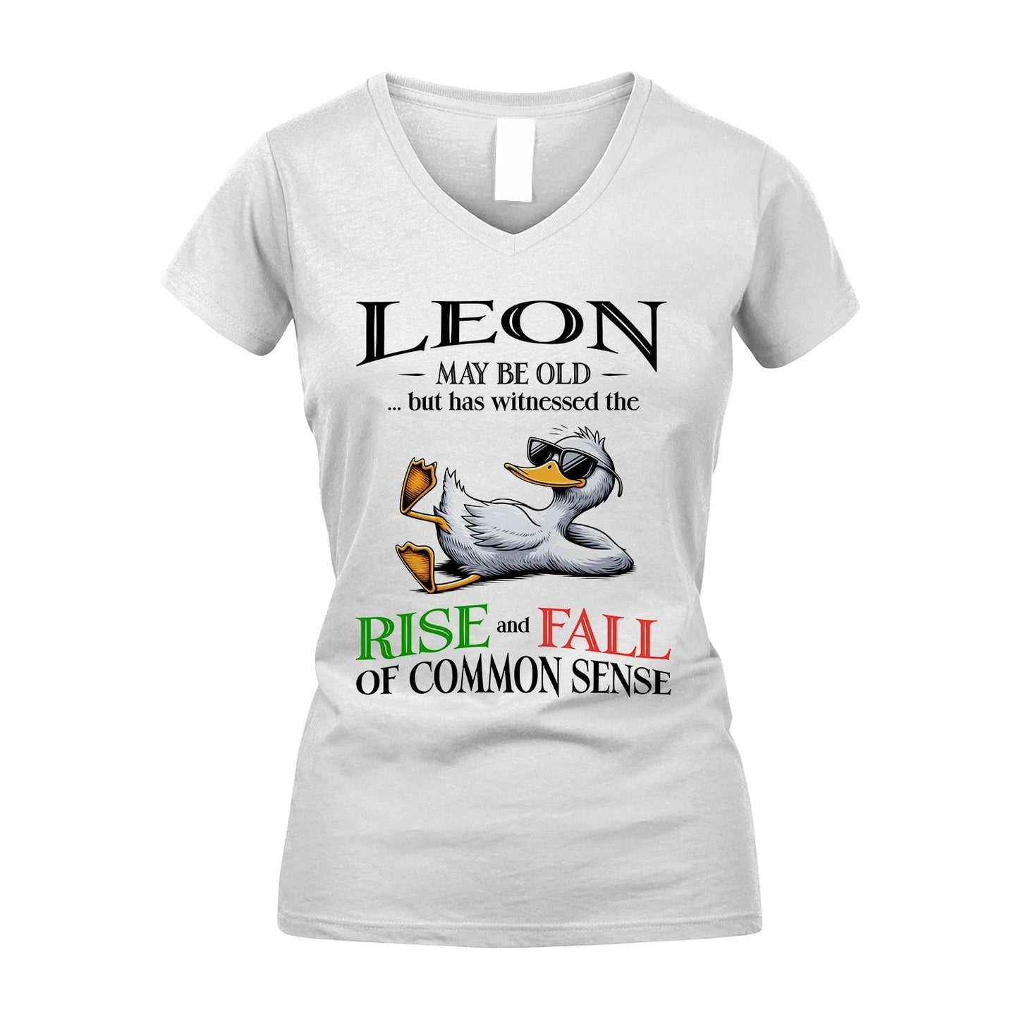 LEON 13K1-534 May Be Old But Has Witnessed The Rise and Fall of Common Sense