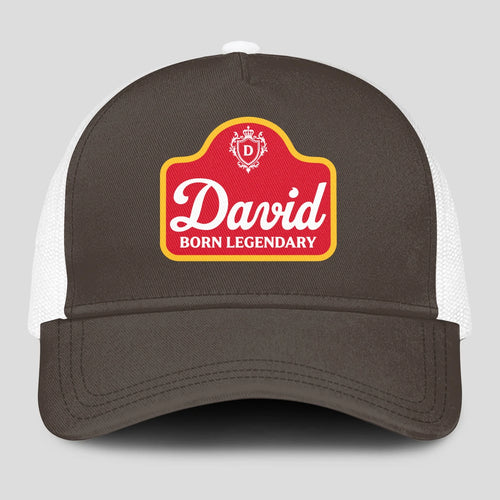 Born Legendary Charcoal Mesh Cap DAVID 13K1 C196PF