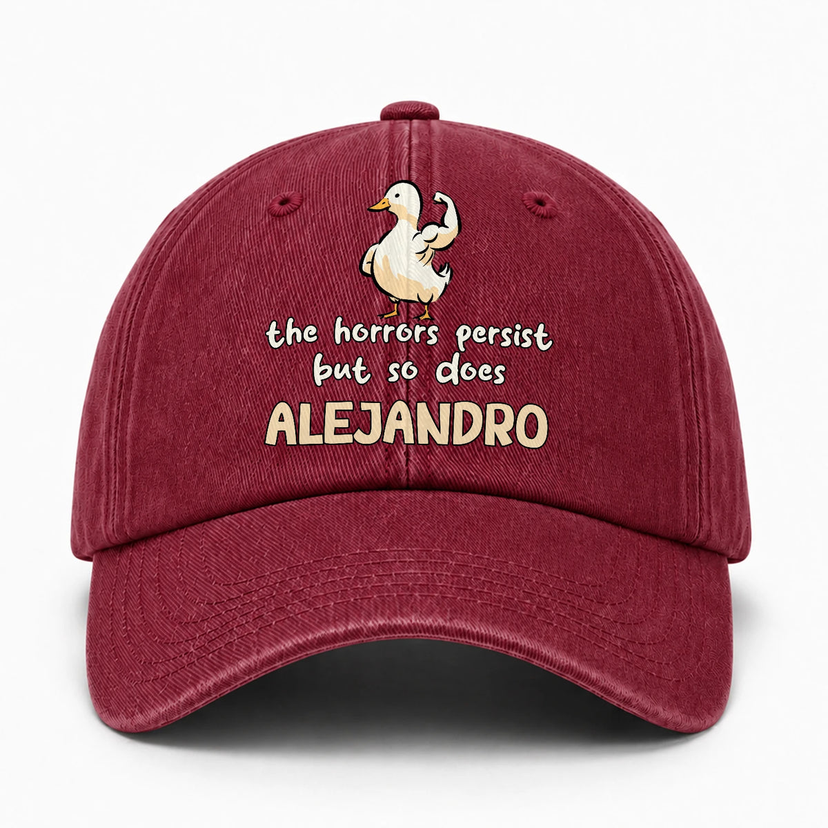 The Horrors Persist But So Does Your Name Funny Goose Burgundy Washed Cap ALEJANDRO 13K1 C126PF