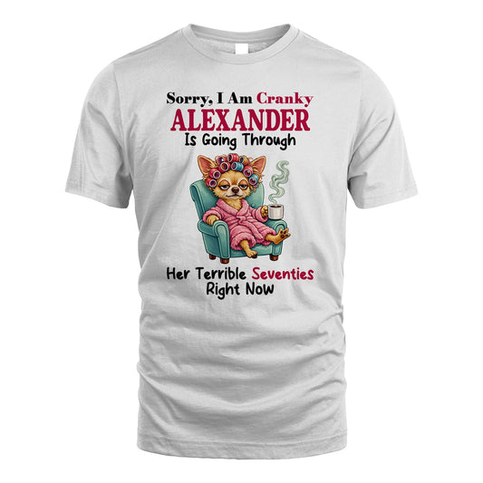 ALEXANDER 13K1-533 Sorry, I am Canky ... Is Going Through ...