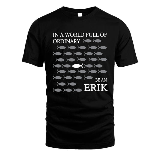 ERIK 13K1-558 In A World Full Of Ordinary