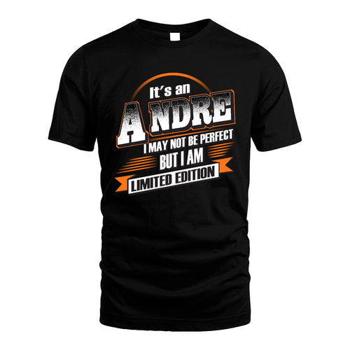 ANDRE 13K1-514 Personalized "It's a ... I May Not Be Perfect..."