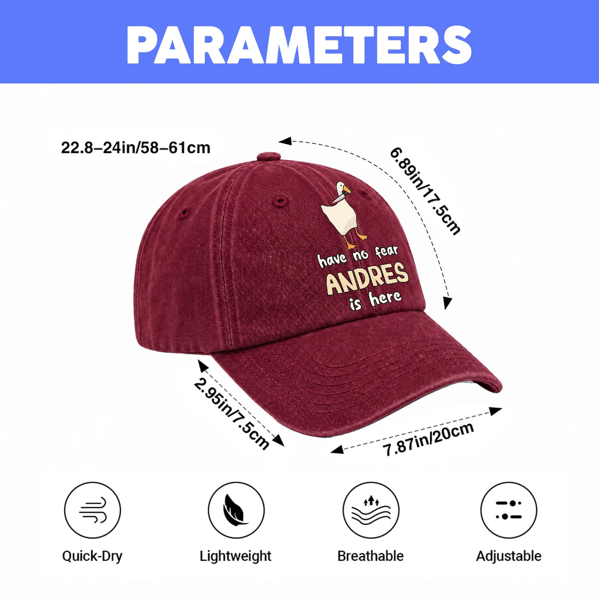 Have No Fear Your Name Is Here Funny Goose Burgundy Washed Cap ANDRES 13K1 C127PF