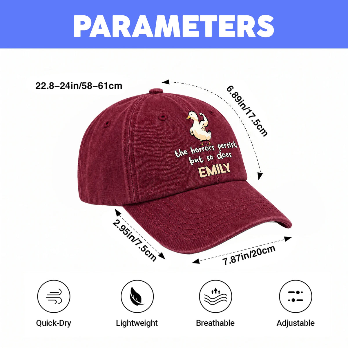 The Horrors Persist But So Does Your Name Funny Goose Burgundy Washed Cap EMILY 13K1 C126PF