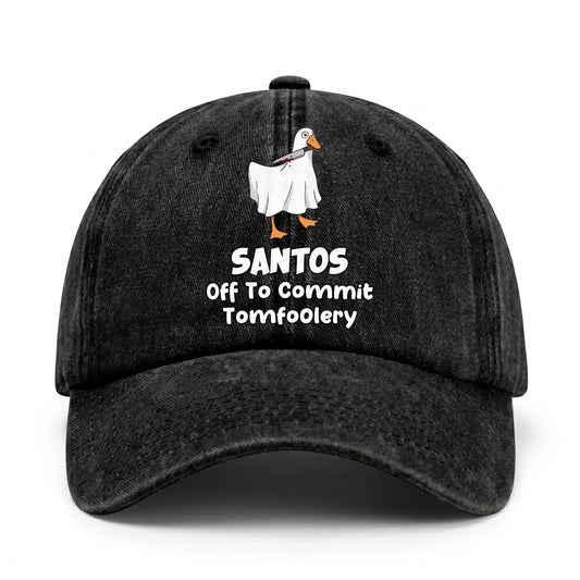 Off To Commit Tomfoolery Funny Goose Washed Cap SANTOS 13K1 C131PF