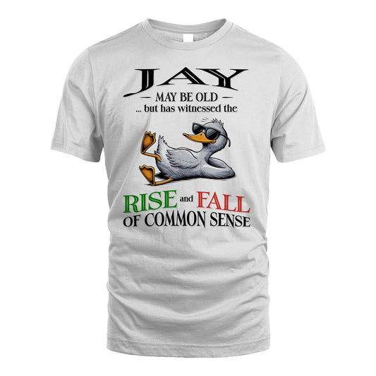 JAY 13K1-534 May Be Old But Has Witnessed The Rise and Fall of Common Sense
