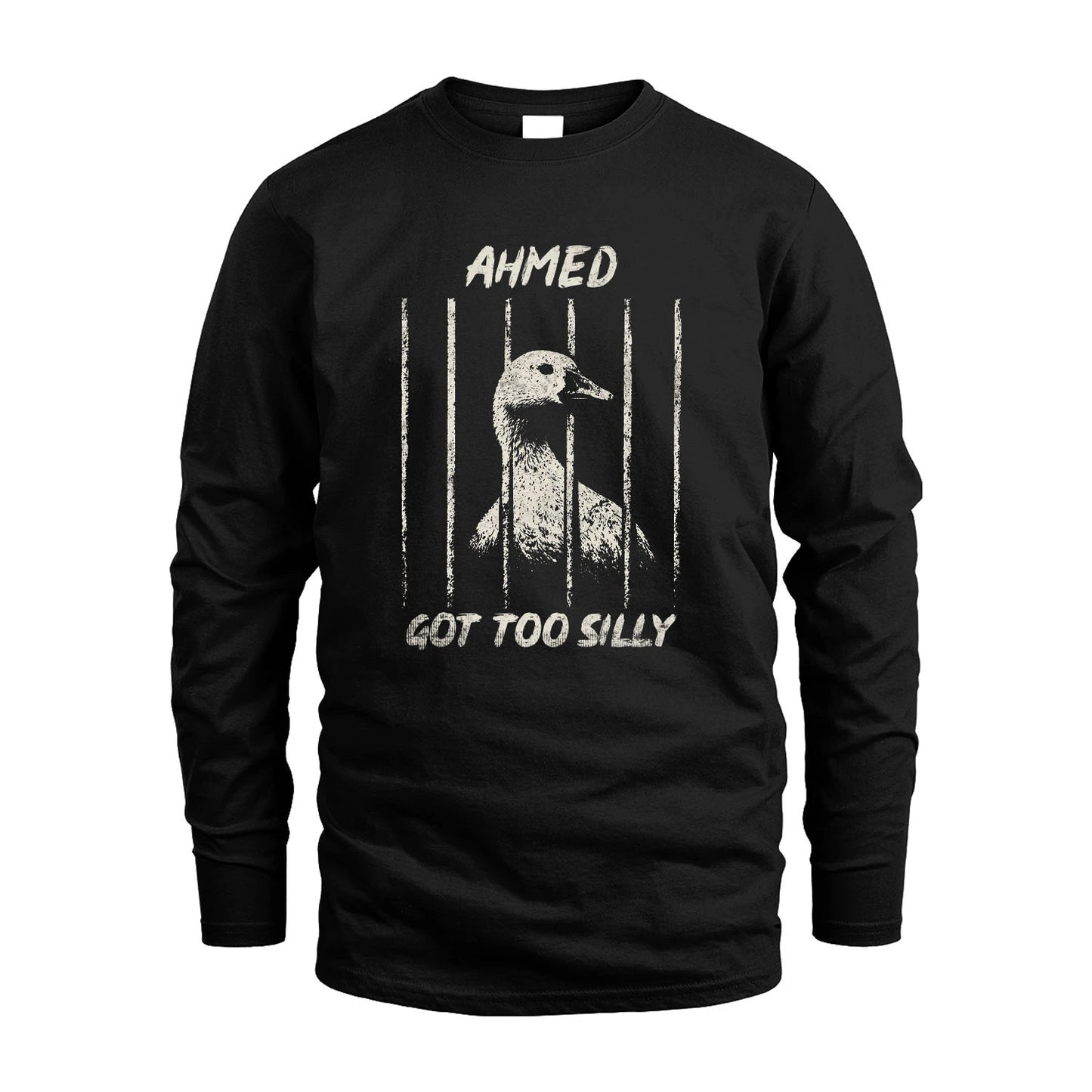 AHMED 13K1-564 God Too Silly