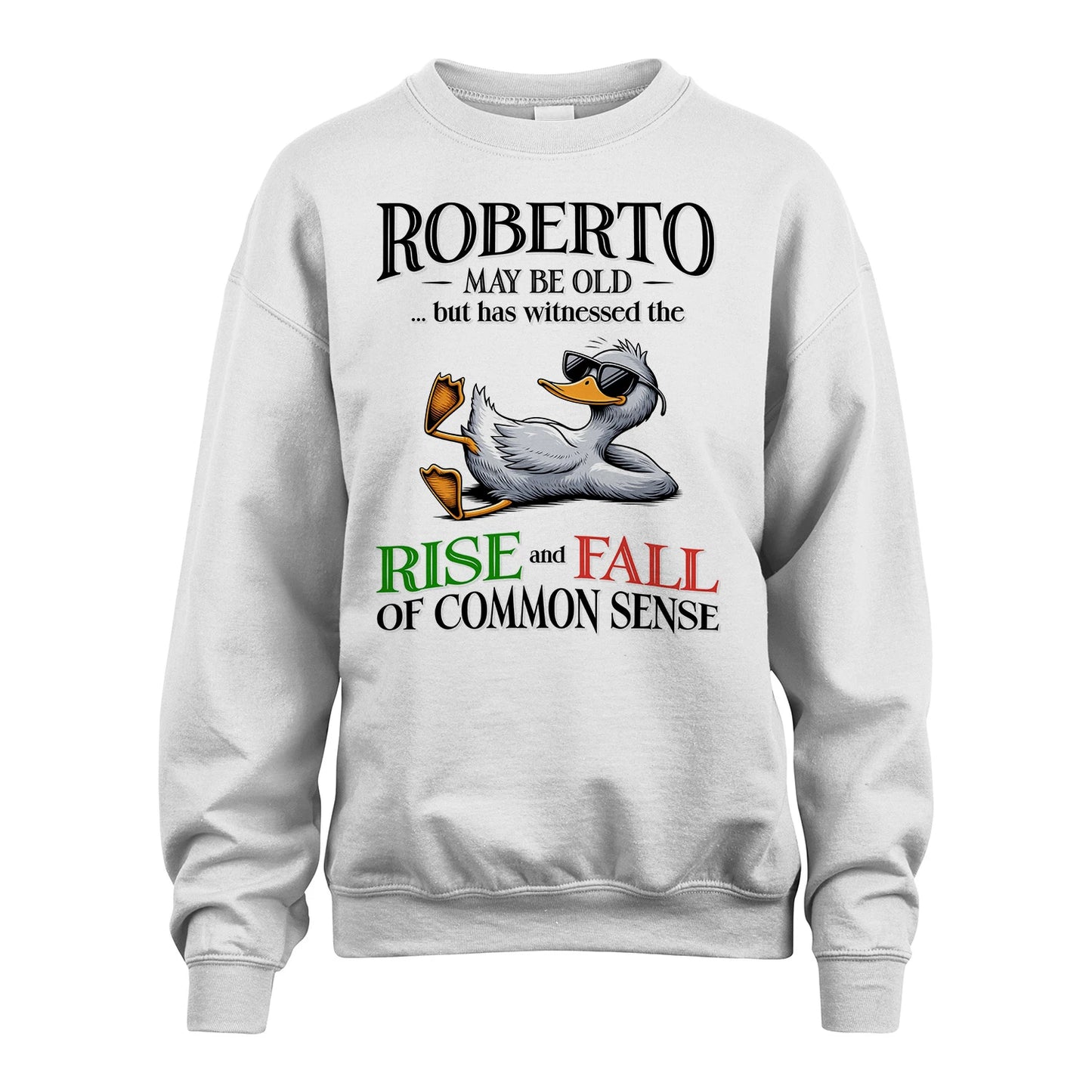 ROBERTO 13K1-534 May Be Old But Has Witnessed The Rise and Fall of Common Sense