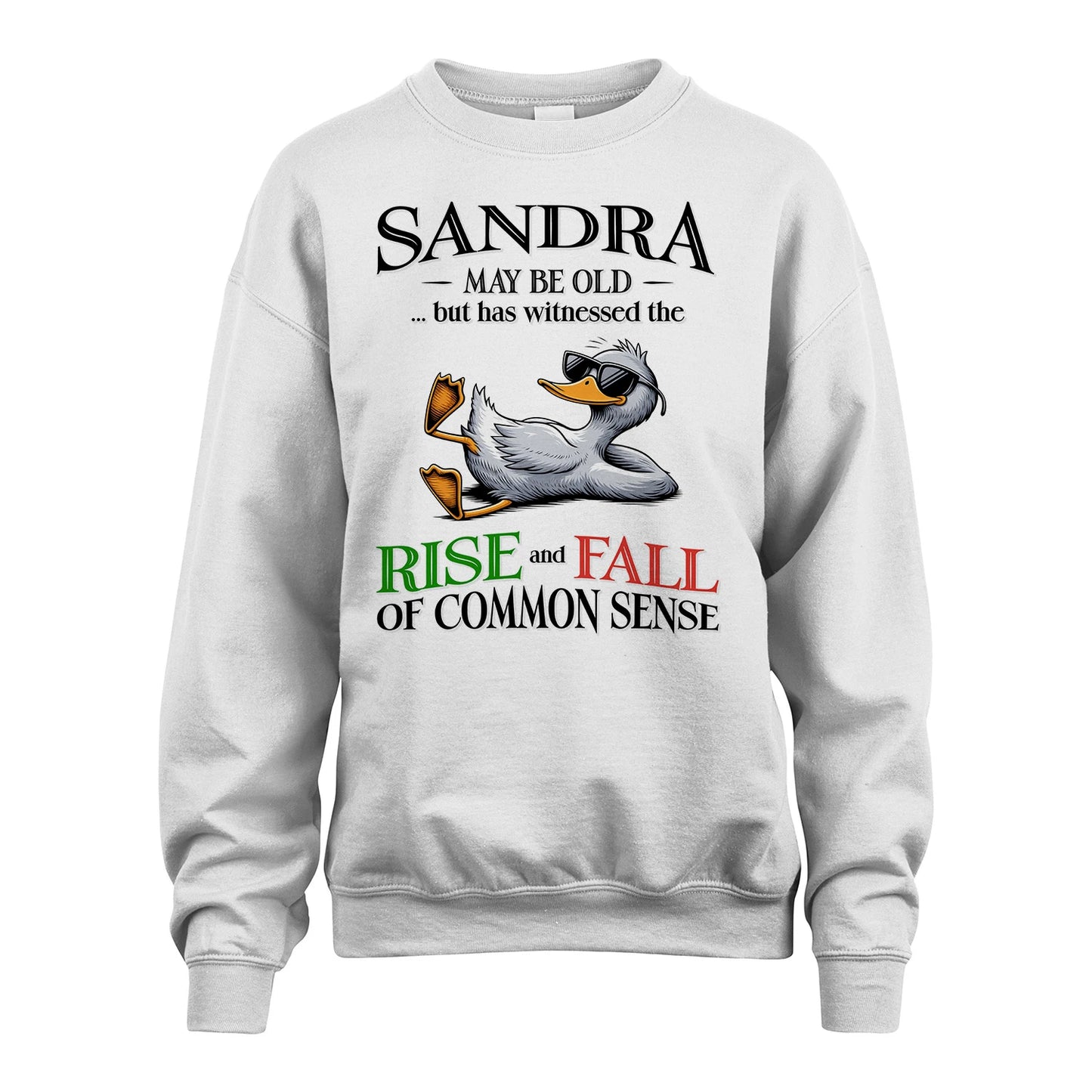 SANDRA 13K1-534 May Be Old But Has Witnessed The Rise and Fall of Common Sense