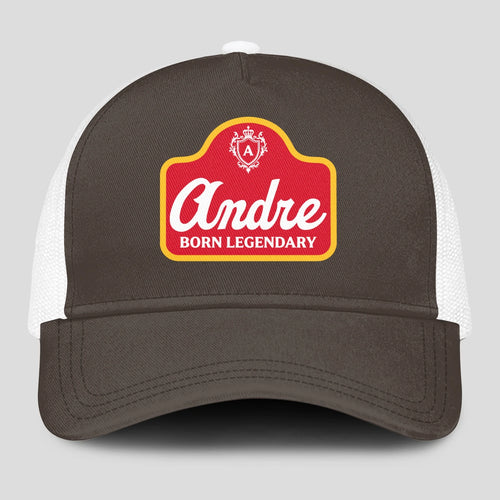 Born Legendary Charcoal Mesh Cap ANDRE 13K1 C196PF