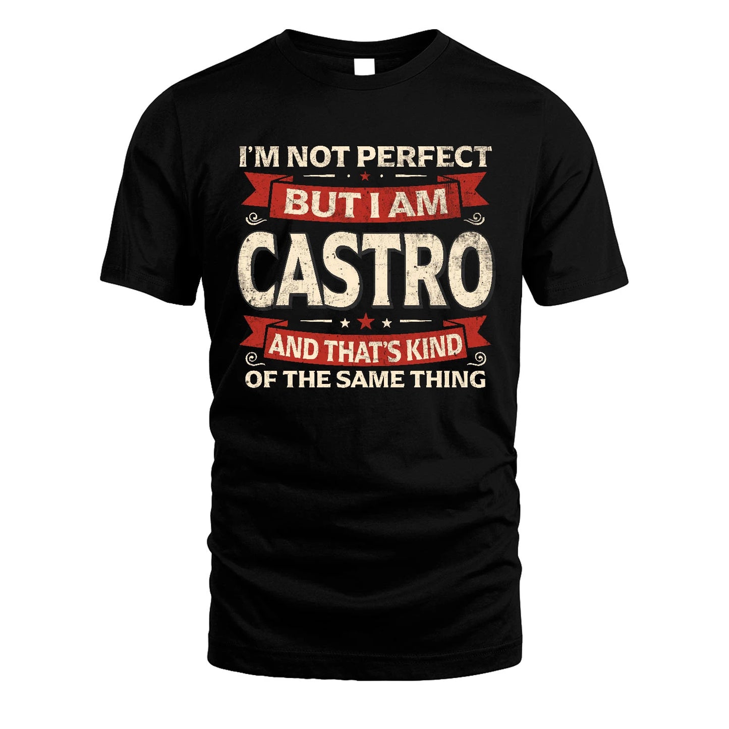 CASTRO 13K1-566 I'm Not Perfect But I Am...