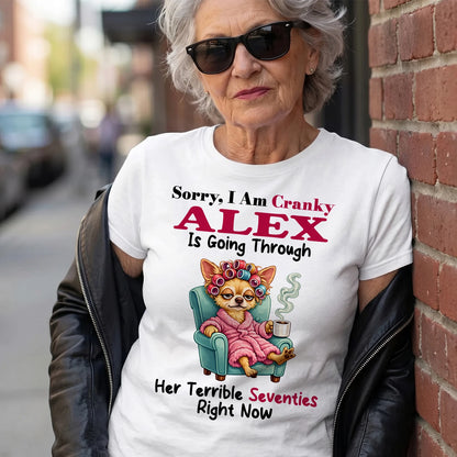 ALEX 13K1-533 Sorry, I am Canky ... Is Going Through ...