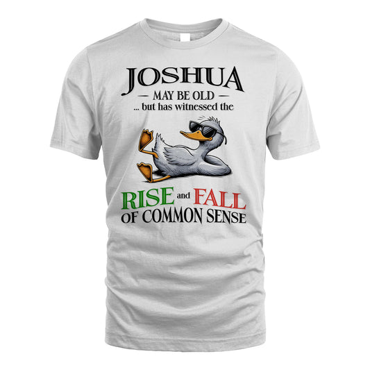 JOSHUA 13K1-534 May Be Old But Has Witnessed The Rise and Fall of Common Sense