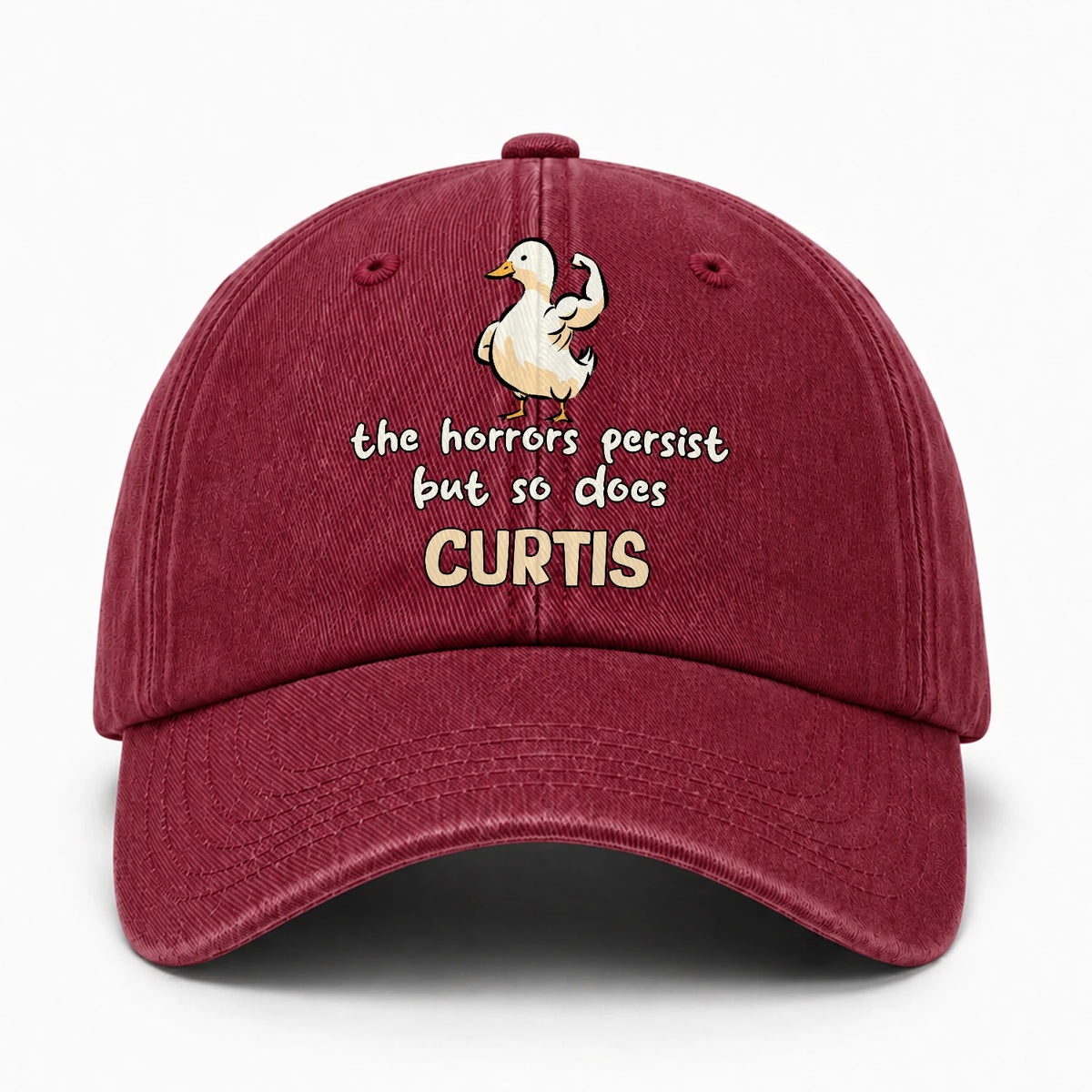 The Horrors Persist But So Does Your Name Funny Goose Burgundy Washed Cap CURTIS 13K1 C126PF