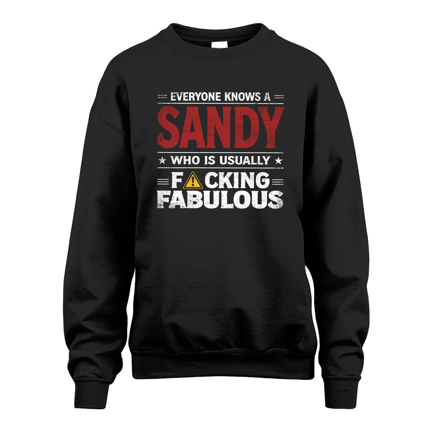 SANDY 13K1-565 Everyone Know A/An Name Who Is Usually...