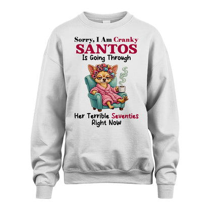 SANTOS 13K1-533 Sorry, I am Canky ... Is Going Through ...