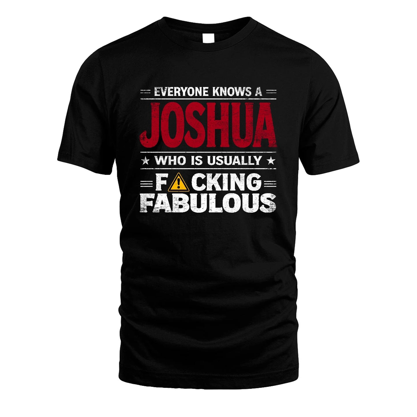 JOSHUA 13K1-565 Everyone Know A/An Name Who Is Usually...