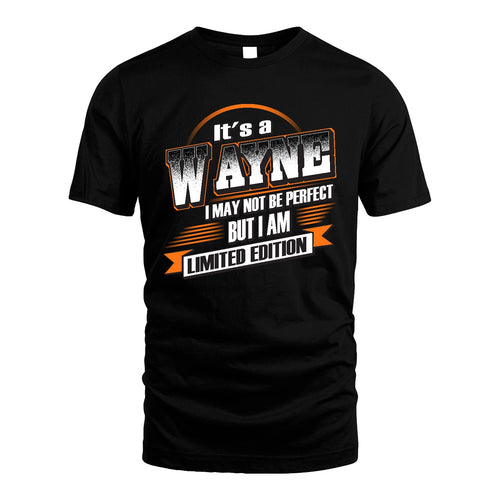 WAYNE 13K1-514 Personalized "It's a ... I May Not Be Perfect..."