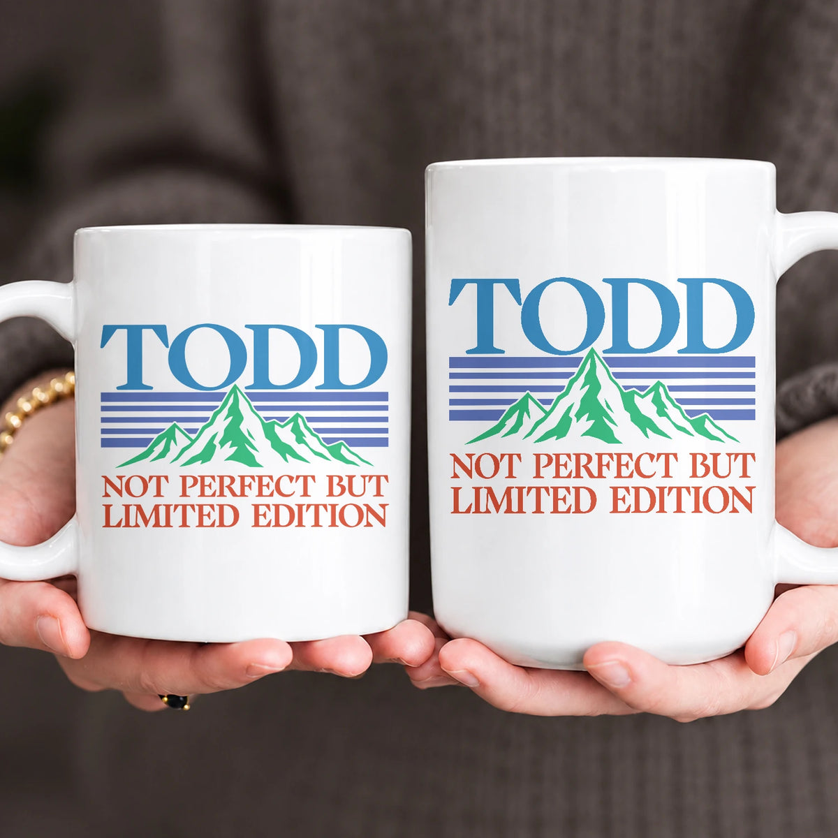 Not Perfect But Limited Eidition Retro Mountain Mug TODD 13K1 MG29