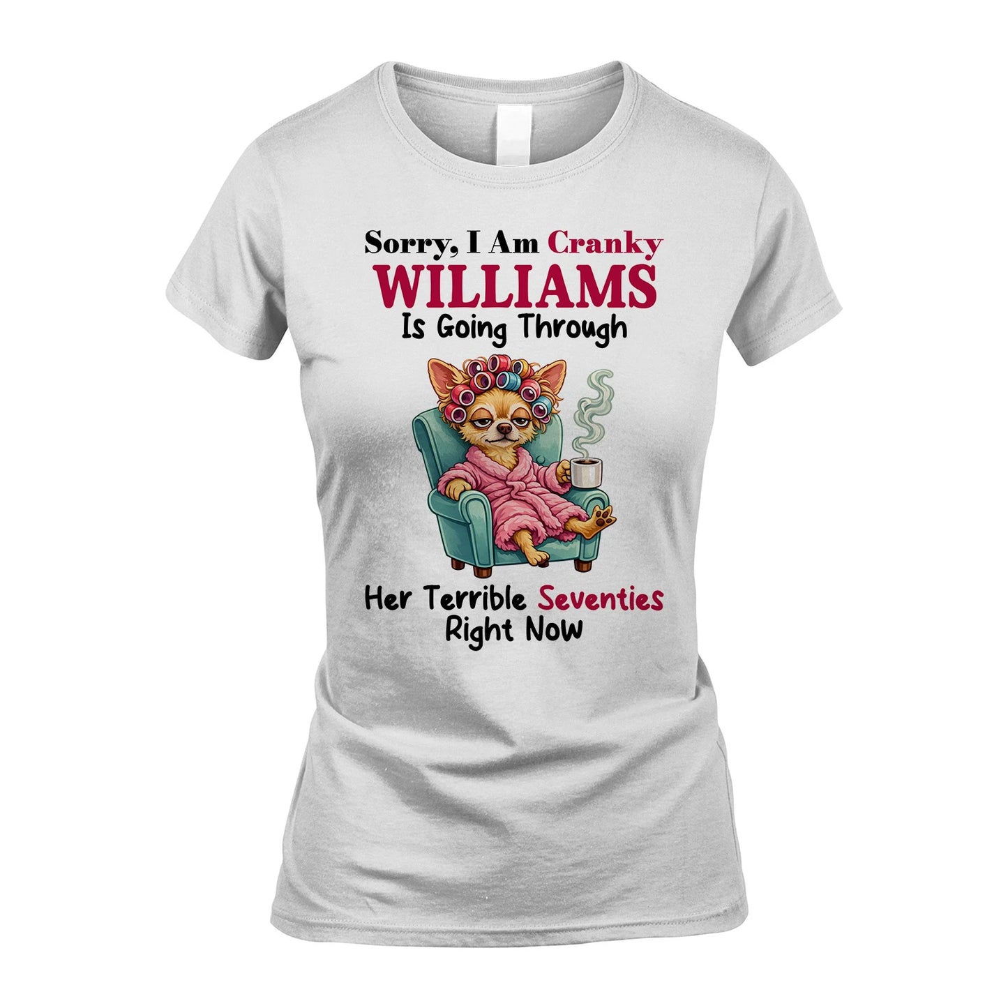 WILLIAMS 13K1-533 Sorry, I am Canky ... Is Going Through ...
