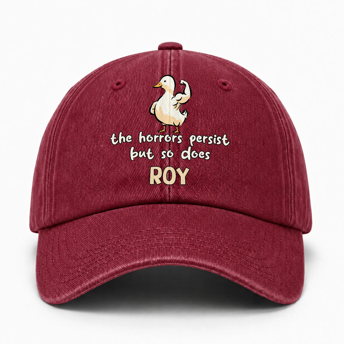 The Horrors Persist But So Does Your Name Funny Goose Burgundy Washed Cap ROY 13K1 C126PF